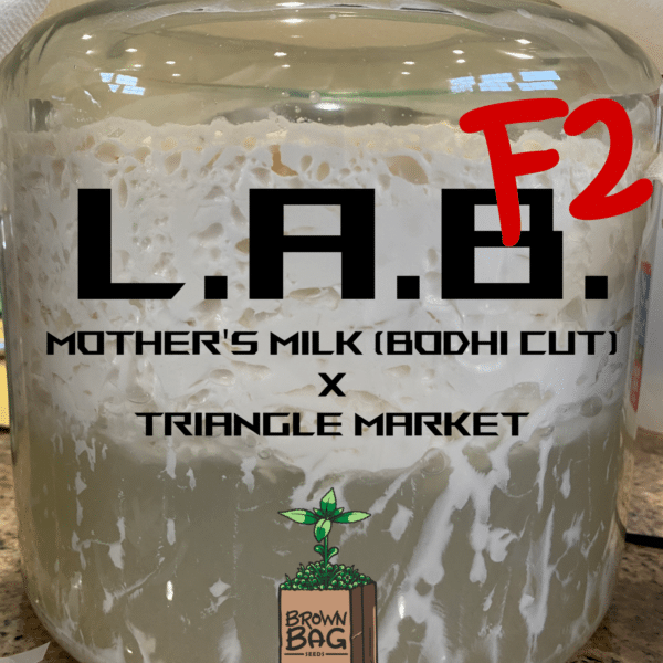 Brown Bag Seeds - L.A.B. F2