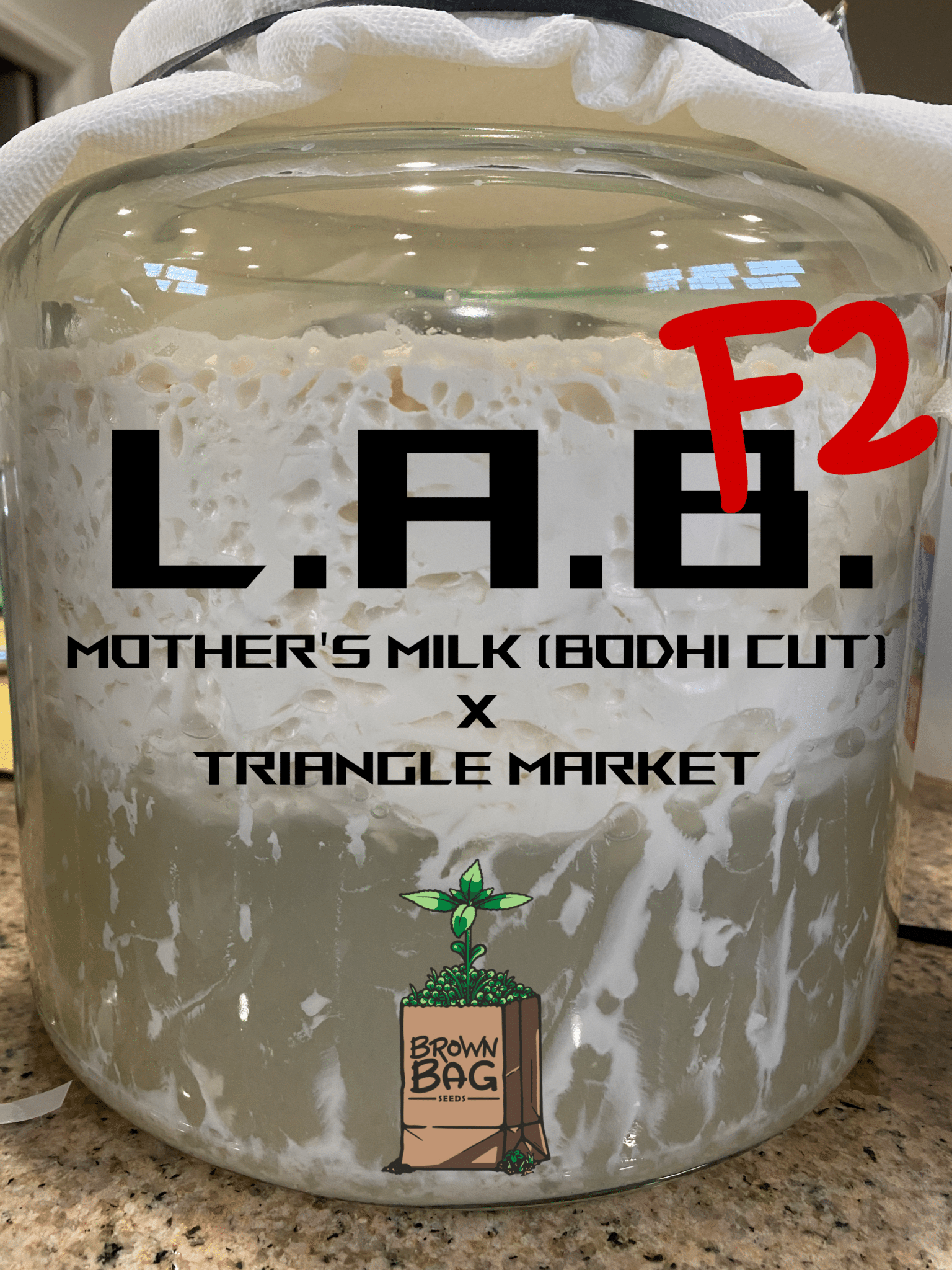 Brown Bag Seeds - L.A.B. F2