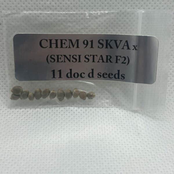 Magic Spirit Seed Co - Chem '91 x (Sensi Star F2)