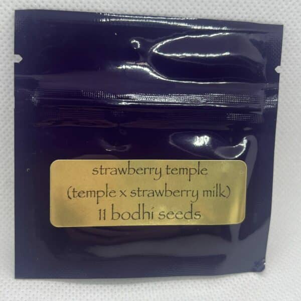 Bodhi Seeds - Strawberry Temple
