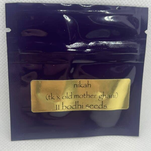 Bodhi Seeds - Nikah