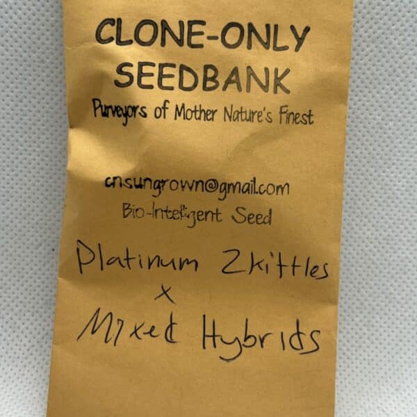 Cape Neddick Sungrown - Platinum Zkittlez x Mixed Hybrids