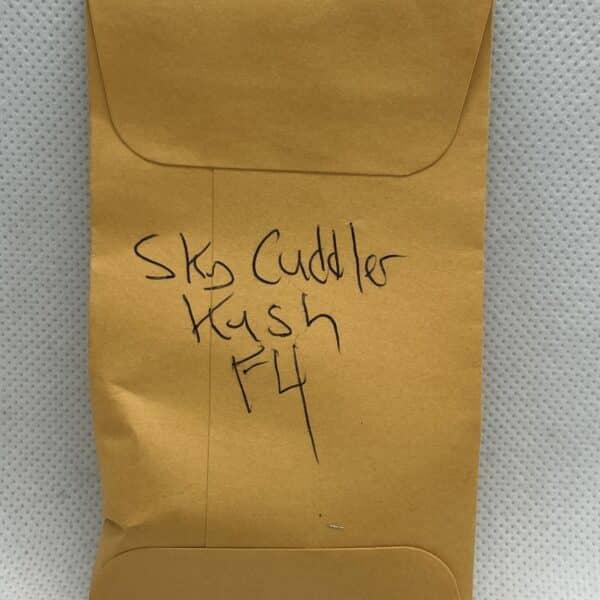 Cape Neddick Sungrown - Sky Cuddler Kush F4