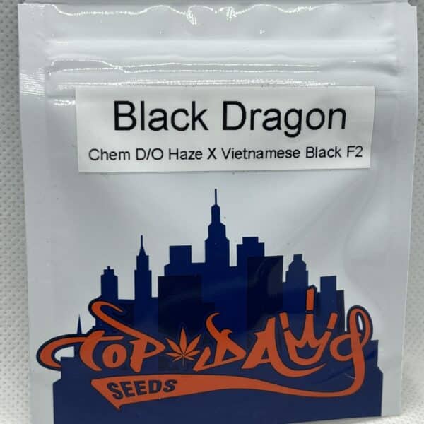 Top Dawg Seeds - Black Dragon