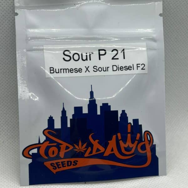 Top Dawg Seeds - Sour P 21