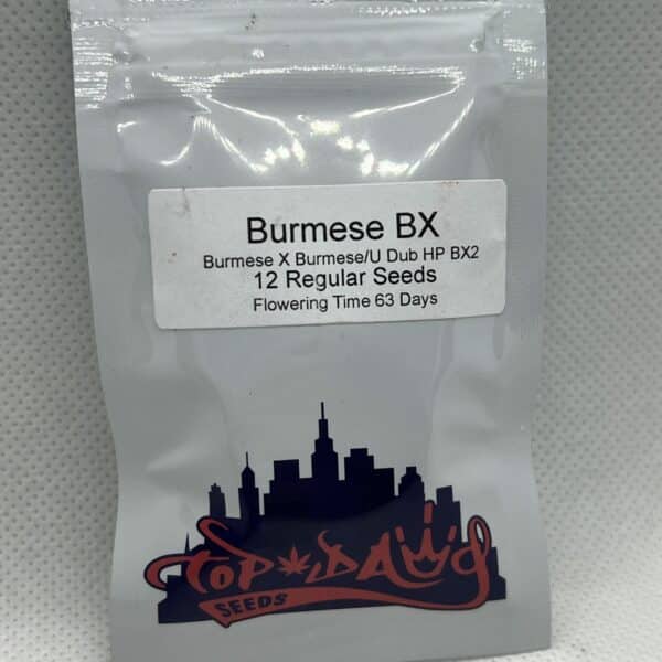 Top Dawg Seeds - Burmese BX