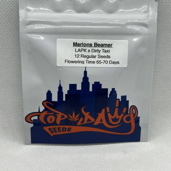 Top Dawg Seeds - Marions Beamer