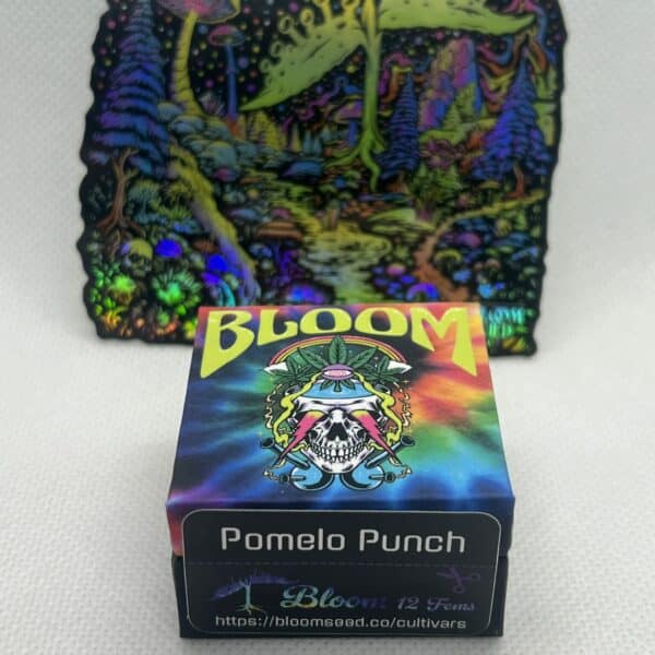 Bloom Seed Co - Pomelo Punch (fem)