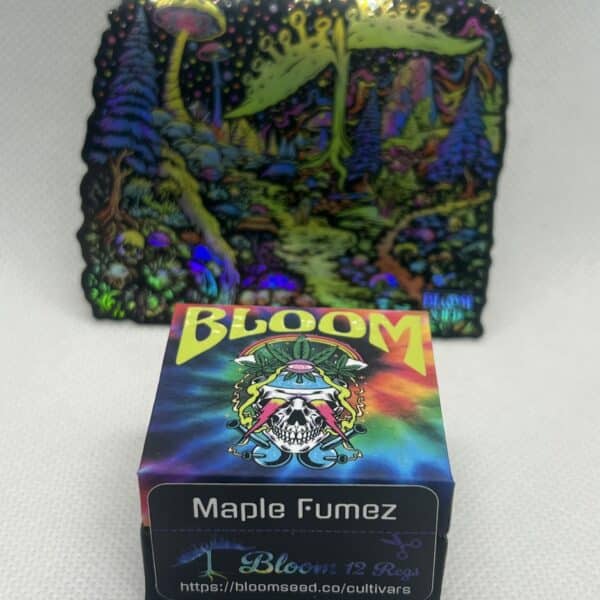 Bloom Seed Co - Maple Fumez