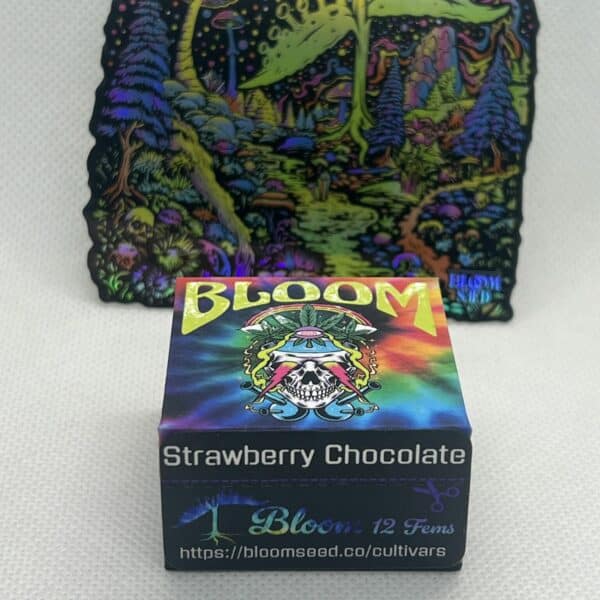 Bloom Seed Co - Strawberry Chocolate (fem)