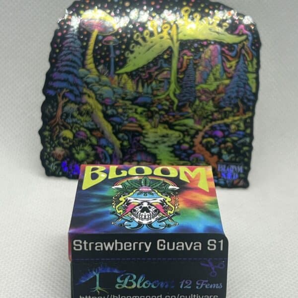 Bloom Seed Co - Strawberry Guava S1 (fem)