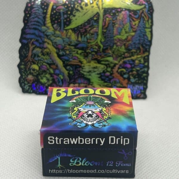 Bloom Seed Co - Strawberry Drip (fem)