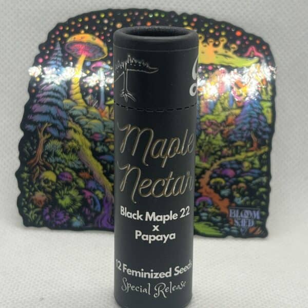 Bloom Seed Co - Maple Nectar (fem)