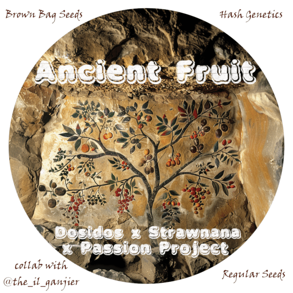 Brown Bag Seeds - Ancient Fruit
