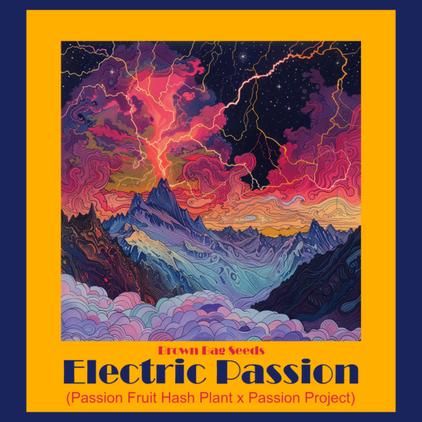 Brown Bag Seeds - Electric Passion