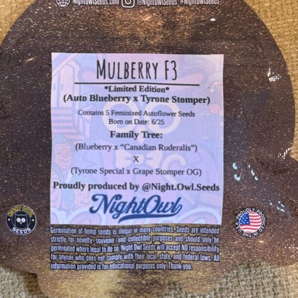 Night Owl Seeds - Mulberry F3 (limited edition)
