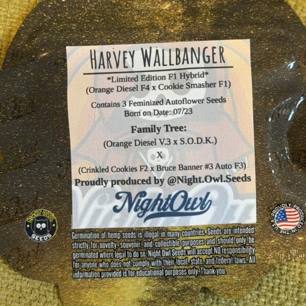 Night Owl Seeds - Harvey Wallbanger (limited edition F1 Hybrid)
