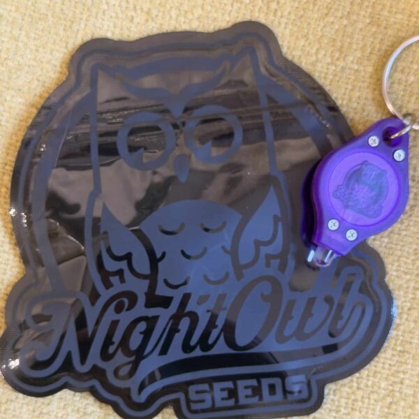 Night Owl Seeds - Outlier V